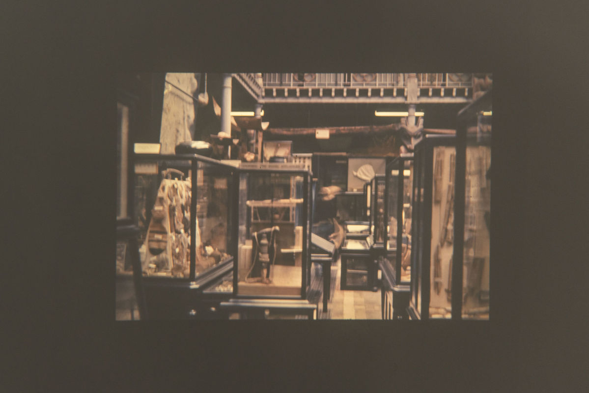 Vista da projeção de slides [view of the slides projection] <i>Unsettled Objects</i> [Objetos não resolvidos] (1968-69), de [by] Lothar Baumgarten, na [at the] 34ª Bienal de São Paulo. © Levi Fanan / Fundação Bienal de São Paulo