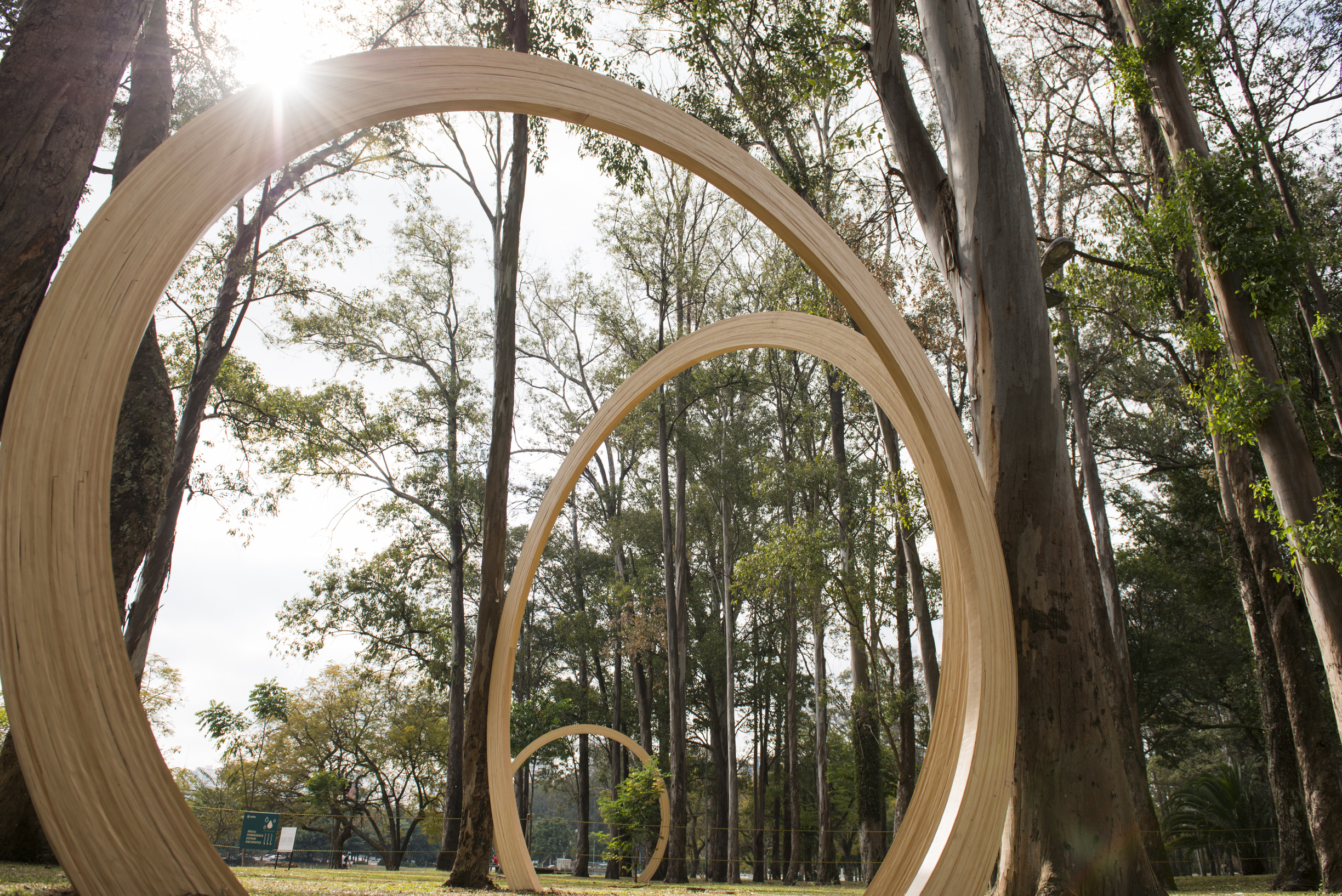 Vista da obra [view of the artwork] <i>Growth Rings</i> (2021), de [by] Oscar Tuazon, na [at the] 34ª Bienal de São Paulo. © Levi Fanan / Fundação Bienal de São Paulo