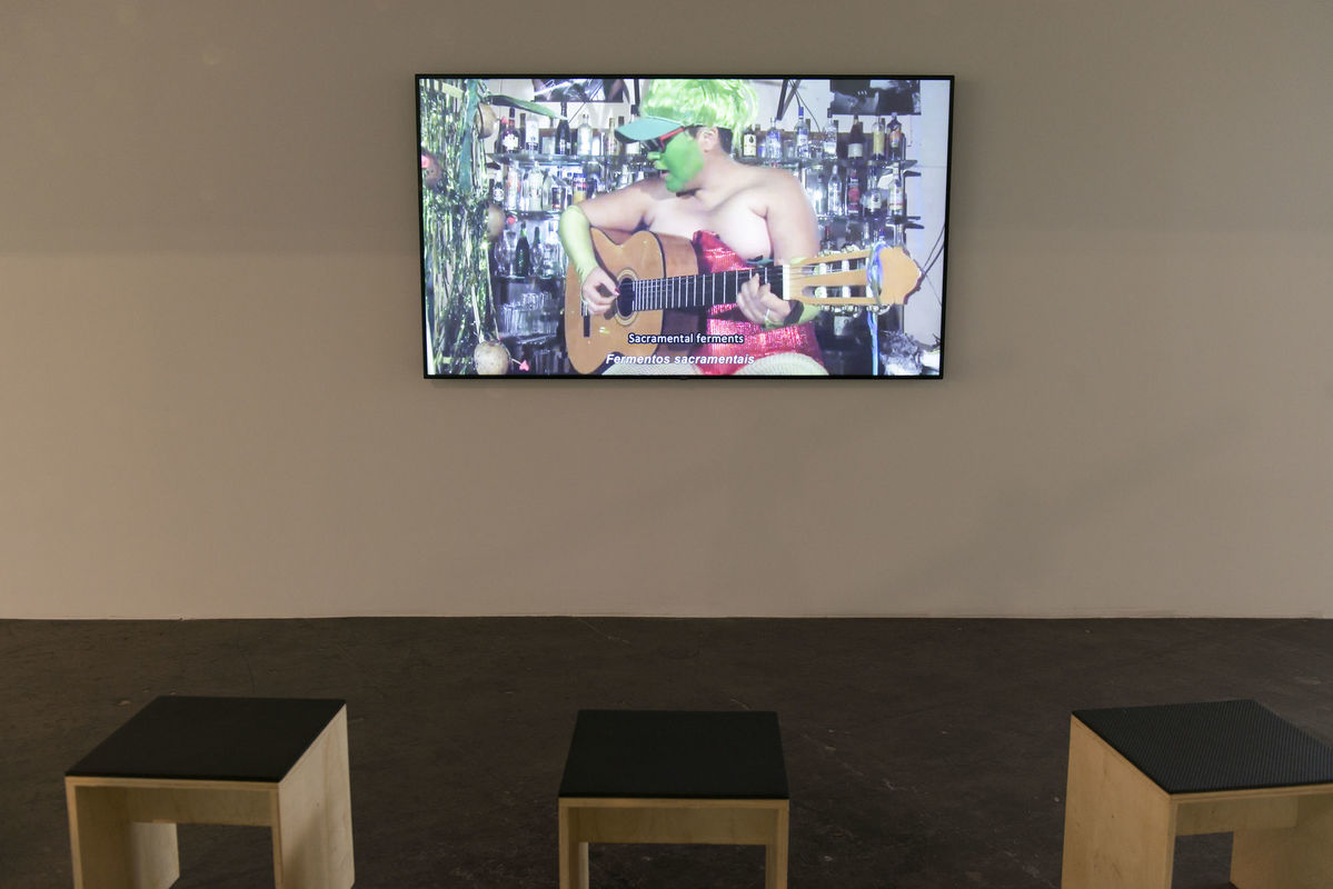 Vista da videoinstalação [view of the video-installation] <i>Resiliencia Tlacuache</i> (2019), de [by] Naomi Rincón Gallardo, na [at the] 34ª Bienal de São Paulo. © Levi Fanan / Fundação Bienal de São Paulo