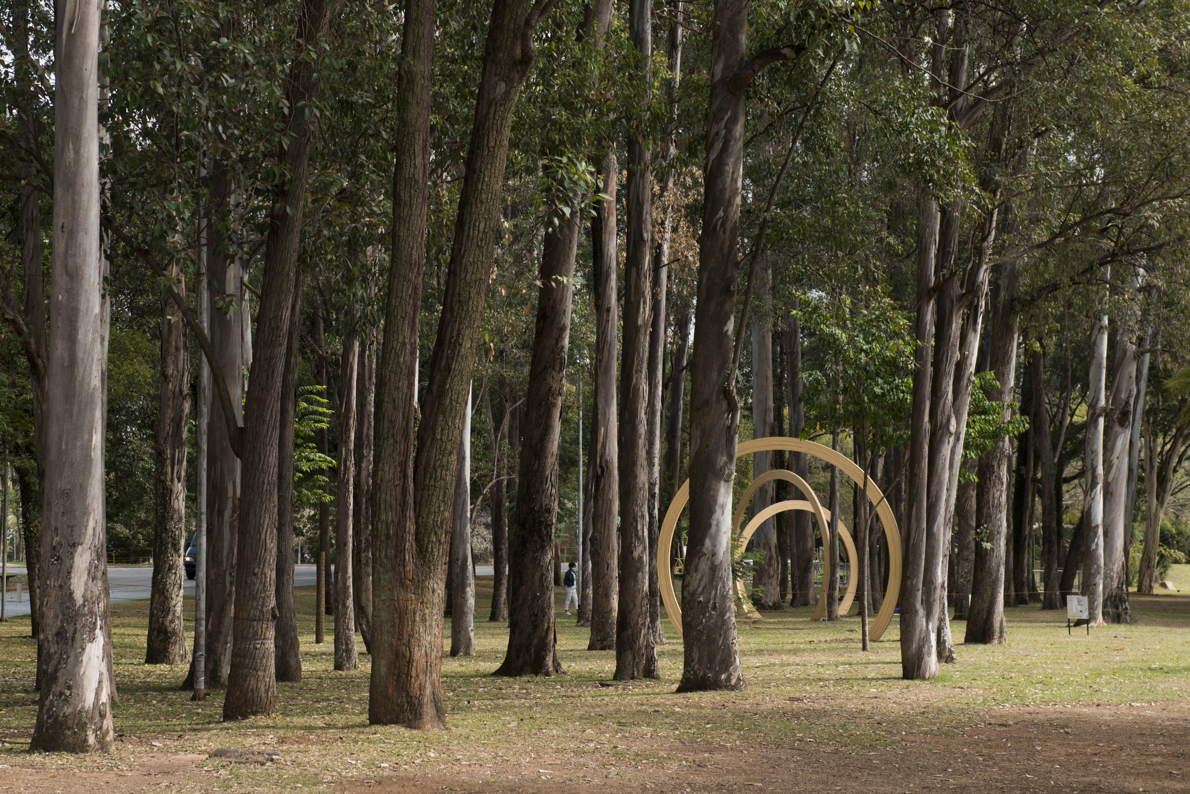 Vista da obra [view of the artwork] <i>Growth Rings</i> (2021), de [by] Oscar Tuazon, na [at the] 34ª Bienal de São Paulo. © Levi Fanan / Fundação Bienal de São Paulo